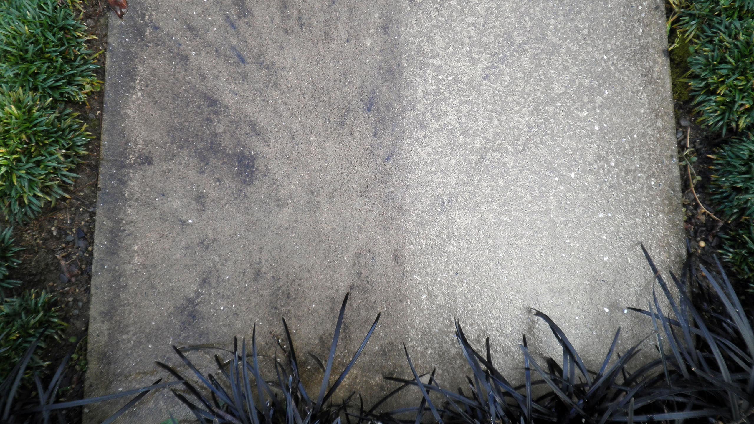 OLYMPUS DIGITAL CAMERA concrete with grease stains left side of concrete is dirty right side has been cleaned.