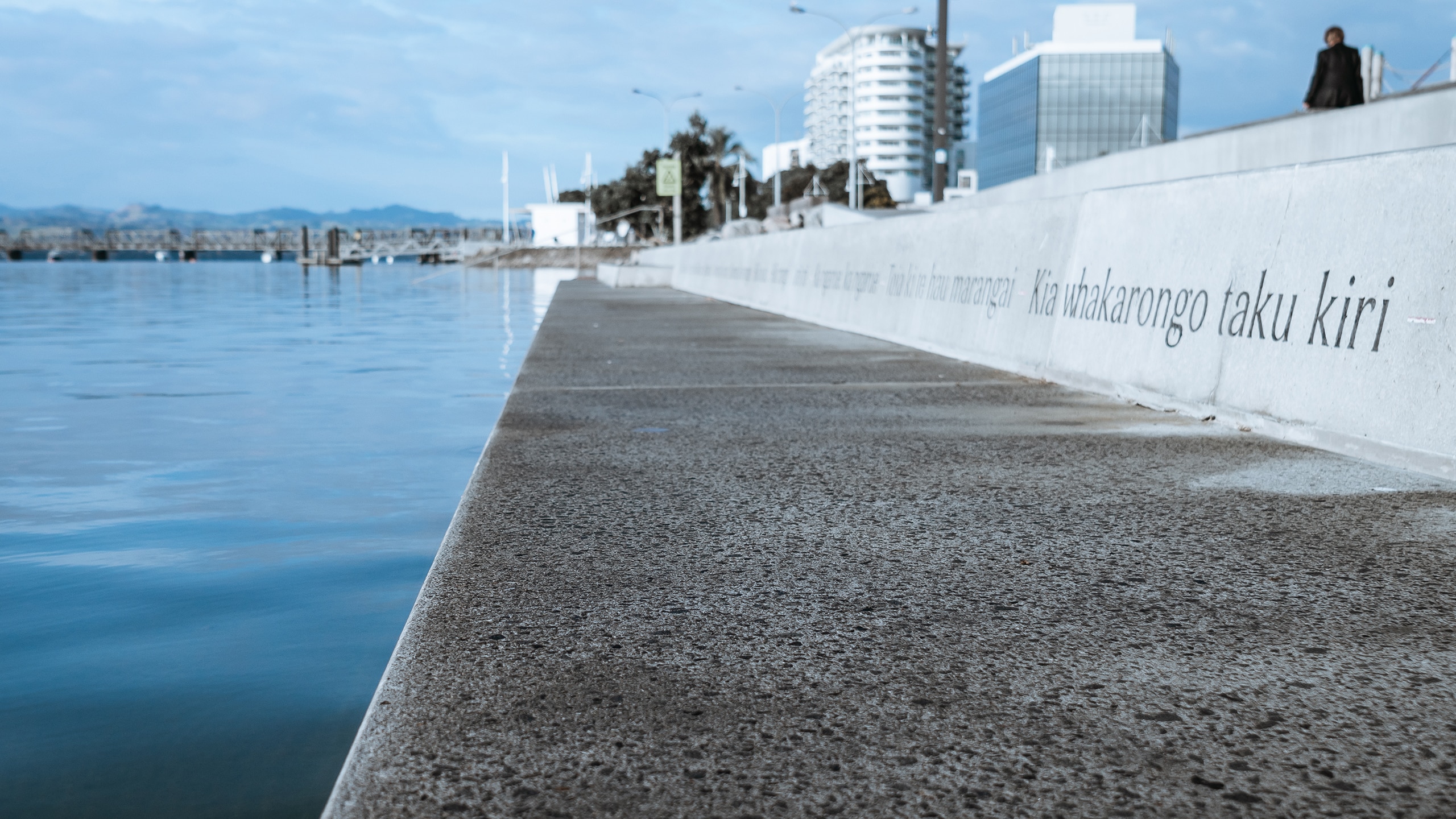 PF_Tauranga_Steps_May_2019-25 Bush Hammer textured concrete public space at Tauranga Harbour