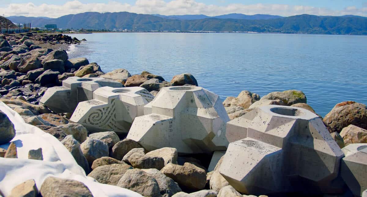 PeterFell-Te-Ara-Tupua-Concrete-XBlocs-01