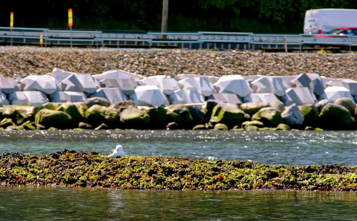 PeterFell-Te-Ara-Tupua-Concrete-XBlocs-02