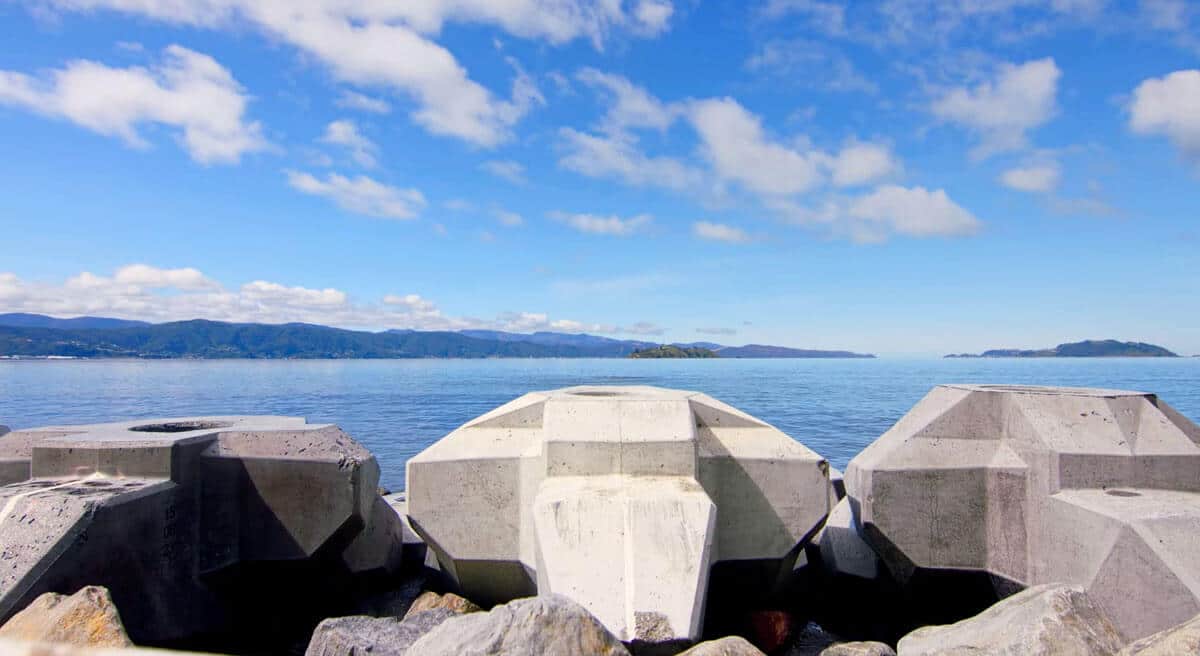 PeterFell-Te-Ara-Tupua-Concrete-XBlocs-07