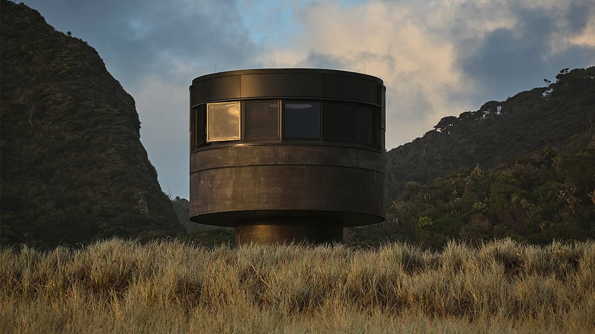 peterfell-north-piha-tower-featured-image